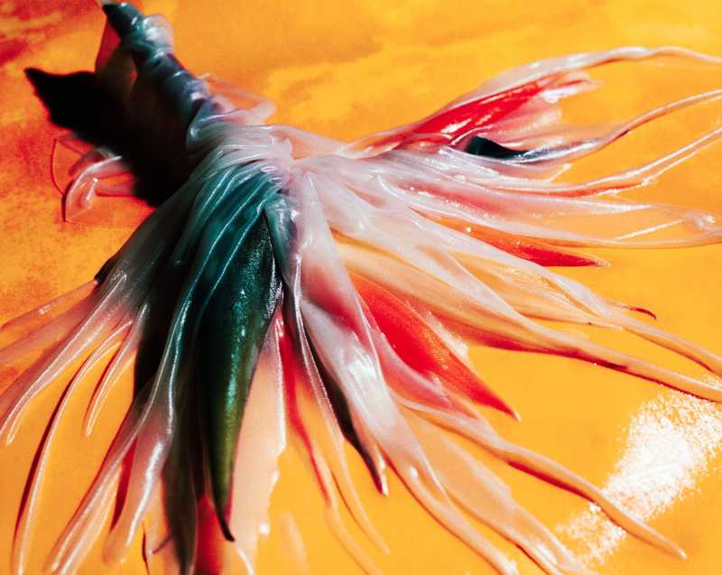 Preview of AR Artwork