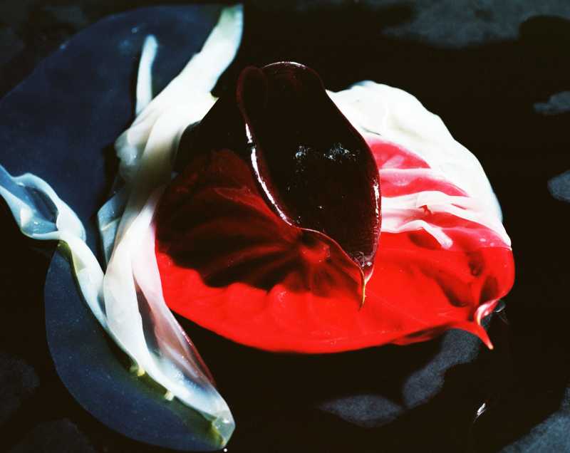 Preview of AR Artwork